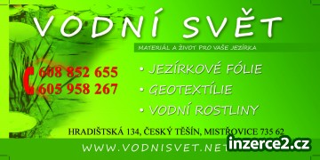 vodni rostliny bahenni rostliny_1 171054_1.jpg