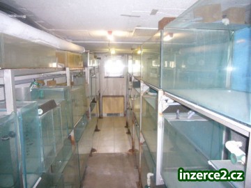171814_1.jpg