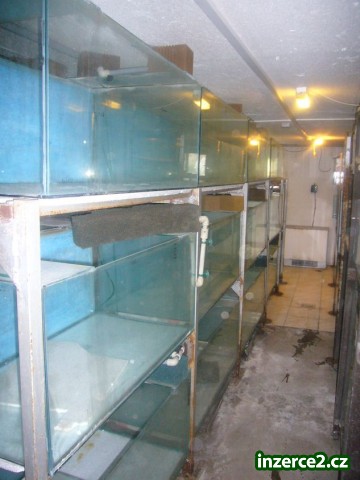 171814_2.jpg