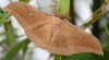 175190_t.jpg