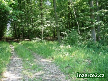 Prodej lesních pozemků Újkovice - 15 ks od Mladé Boleslavi_1 17727_1.jpg