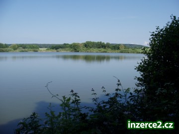 Prodej lesních pozemků Újkovice - 15 ks od Mladé Boleslavi_2 17727_2.jpg