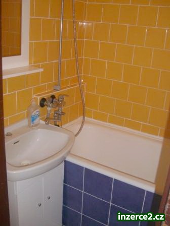 Pronájem bytu 2+1+L+ velká zahrada (3000 m2), Slovany, Rychtaříkova ul._2 179056_2.jpg