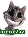 Pracujte doma a s úsměvem_1 179765_1.jpg