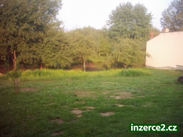 Pronajmu rodinný domek_2 181813_2.jpg