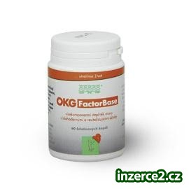 DETOXIKACE ORGANISMU_1 183242_1.jpg