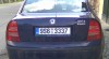 184833_t.jpg
