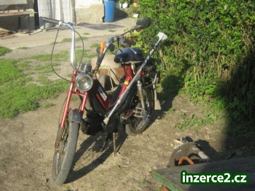Prodám babetu_2 185466_2.jpg