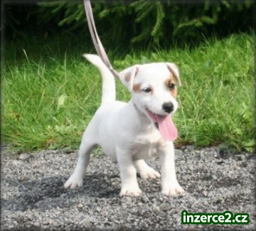 JRT_1 185546_1.jpg