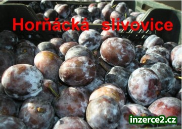 Prodám slivovici - Horňácká trnkovice - super kvalita_2 186389_2.jpg
