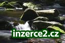 PŘIVÝDĚLEK Z DOMU PRO KAŽDÉHO od 18 let_2 187183_2.jpg