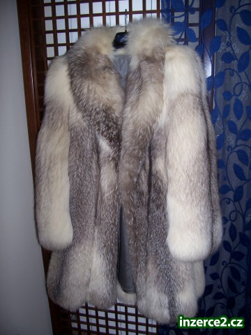 kozich_2 187307_2.jpg