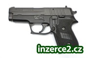 Sig Sauer P 245_1 187929_1.jpg
