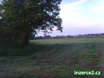 Prodej RD Římovice u Golčova Jeníkova_2 189482_2.jpg