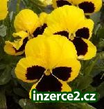 Potřebujete peníze a nechcete se zadlužit?_1 192741_1.jpg