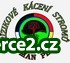 Rizikové Kácení Stromů Roman Plát_1 193244_1.jpg