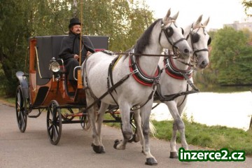Projížďky kočárem_1 197302_1.jpg
