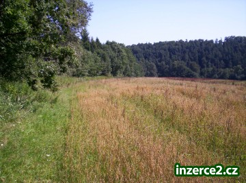 Prodám pole v Ostravě- Plesné o rozl. 7.400m2_1 199033_1.jpg