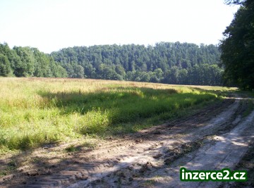 Prodám pole v Ostravě- Plesné o rozl. 7.400m2_2 199033_2.jpg