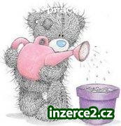Zkuste to jinak!!!_1 200042_1.jpg
