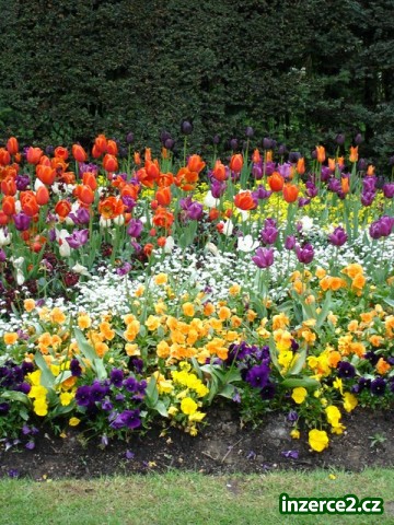 200442_1.jpg