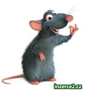 Žádné MLM,žádný prodej,SOLIDNÍ PŘIVÝDĚLEK_1 200928_1.jpg