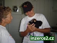 Dvě krásné kapucín opice PRO PŘIJETÍ_1 201684_1.jpg