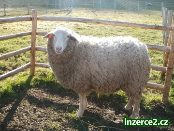 Zemědělství_1 205010_1.jpg