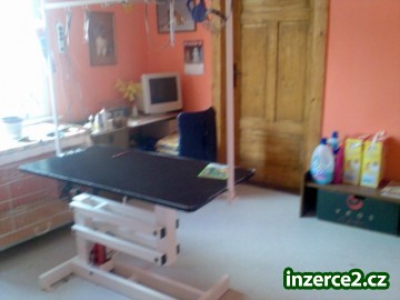 Psí salon_1 20765_1.jpg