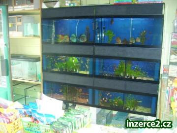 akvarijní stěna_1 208172_1.jpg