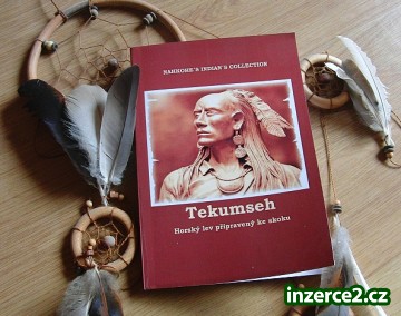 Tekumseh Horský lev připravený ke skoku_1 212663_1.jpg