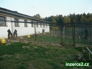 Bažantnice Pohoří nabízí_2 214601_2.jpg