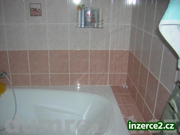 Rekonstruovaný byt_1 215206_1.jpg