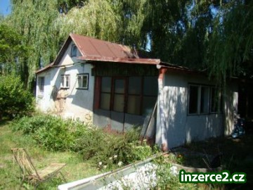 21599_2.jpg