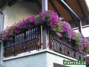 Balkonové zábradlí_1 216216_1.jpg