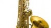 saxofon 3mesice hrany potom vubec 216471_t.jpg