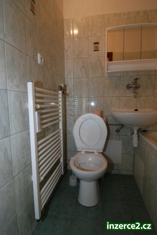 Pronájem bytu 1+1, Frýdek - Místek_2 216751_2.jpg