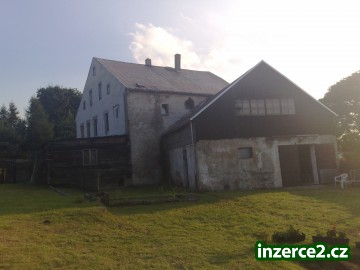 21768_1.jpg