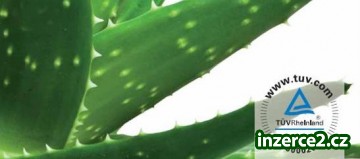 Aloe Vera gel_1 219610_1.jpg
