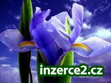 Přivýdělek bez poplatků_1 221617_1.jpg