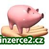 Přivýdělek z domova- celá ČR_1 225254_1.jpg