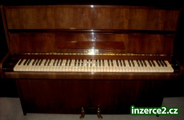 SCHOLZE_1 225446_1.jpg