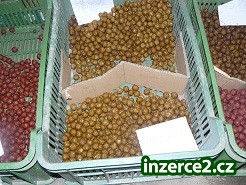 Boilies 18mm_1 225899_1.jpg