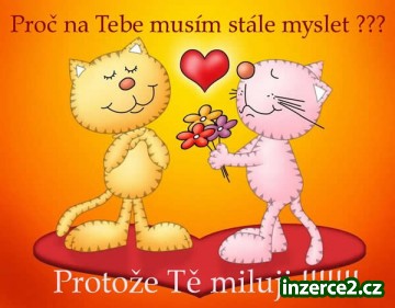 Zajímavé částky k Vašemu hlavnímu příjmu_1 226368_1.jpg