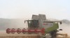 obilny kombajn Claas Lexion 480 226966_t.jpg