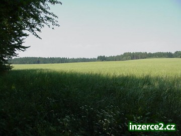 Prodej pozemků_1 227639_1.jpg