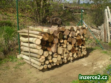 Prodám dřevo Brno_2 228734_2.jpg
