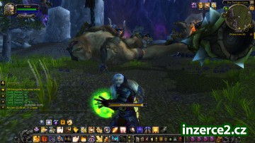 Prodám wow acc 85 lvl paladin aliance_1 231305_1.jpg