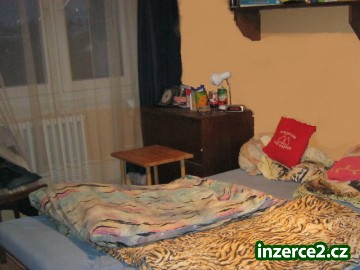 Hledáme spolubydlícího_1 232265_1.jpg