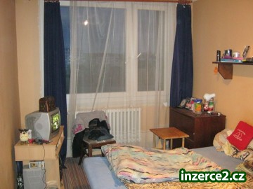 Hledáme spolubydlícího_2 232265_2.jpg